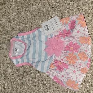 SIMPLY WAG, SZ S PET APPAREL